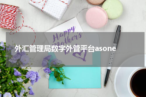 外汇管理局数字外管平台asone