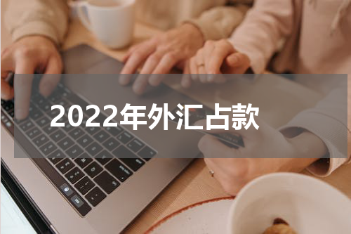 2022年外汇占款