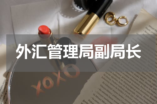 外汇管理局副局长