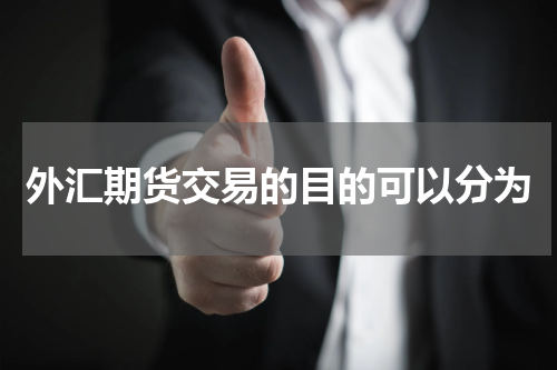 外汇期货交易的目的可以分为