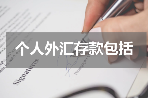个人外汇存款包括