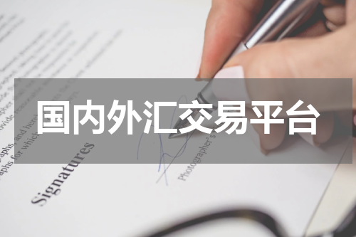 国内外汇交易平台