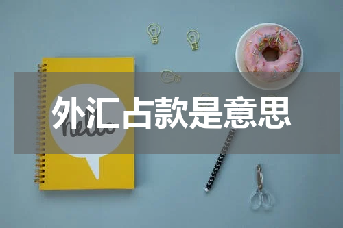 外汇占款是意思