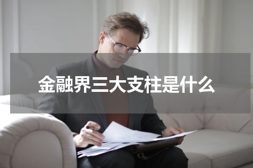 金融界三大支柱是什么