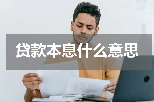 贷款本息什么意思