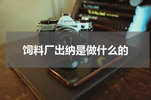 饲料厂出纳是做什么的