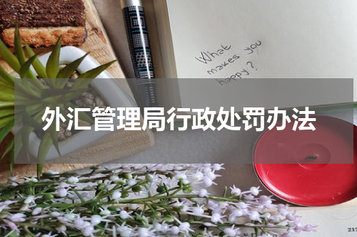 外汇管理局行政处罚办法
