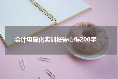 会计电算化实训报告心得200字