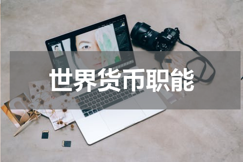 世界货币职能