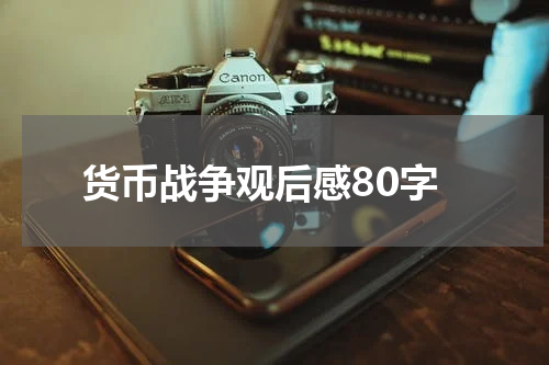 货币战争观后感80字