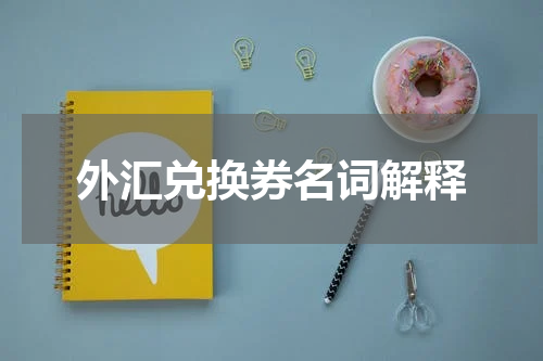 外汇兑换券名词解释