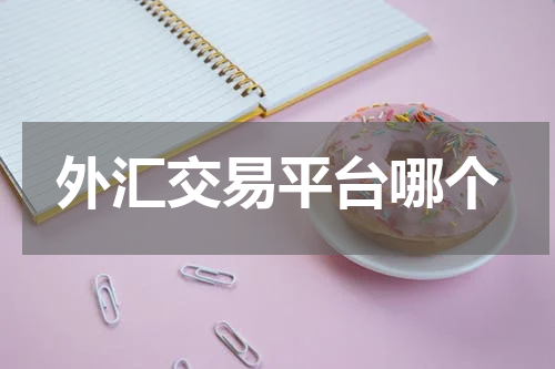 外汇交易平台哪个