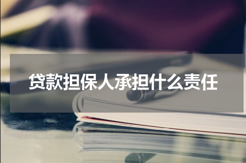 贷款担保人承担什么责任