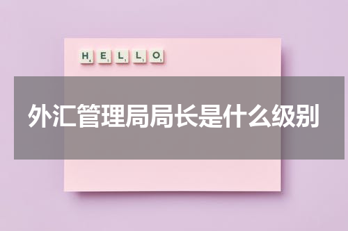 外汇管理局局长是什么级别