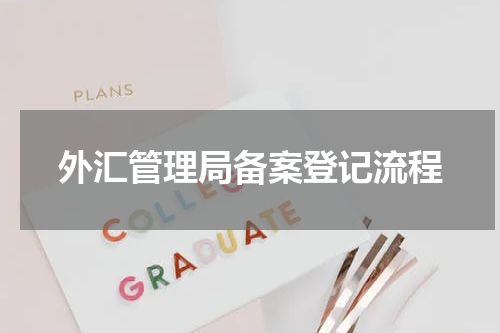 外汇管理局备案登记流程