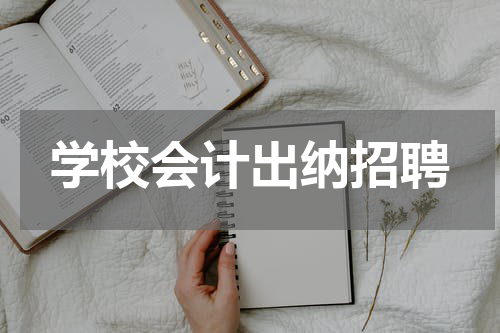 学校会计出纳招聘