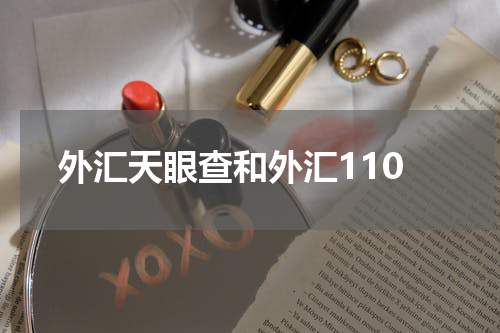 外汇天眼查和外汇110