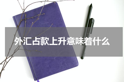 外汇占款上升意味着什么
