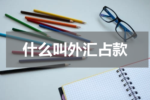 什么叫外汇占款