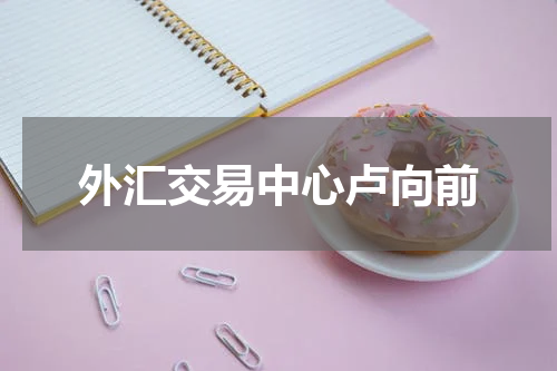 外汇交易中心卢向前