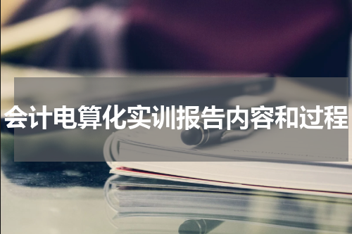 会计电算化实训报告内容和过程