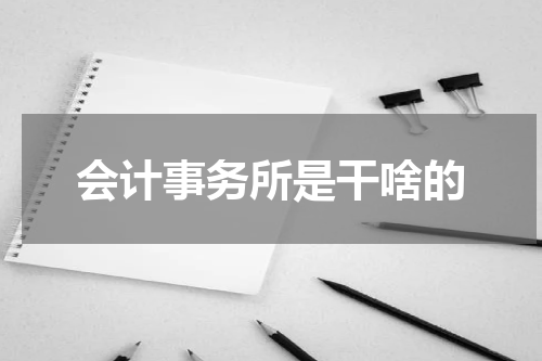 会计事务所是干啥的