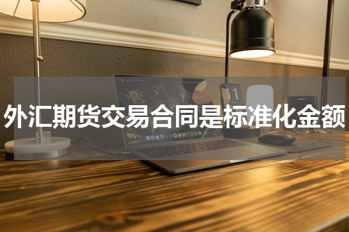 外汇期货交易合同是标准化金额