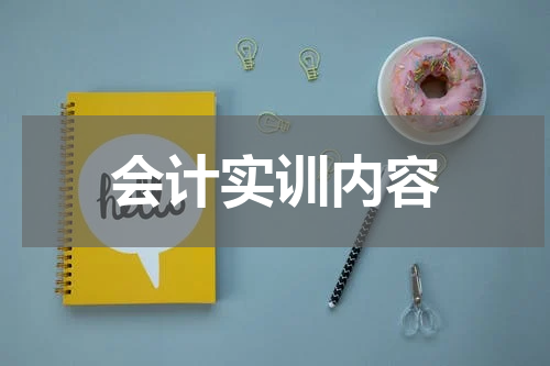 会计实训内容