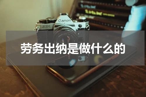 劳务出纳是做什么的