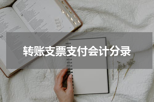 转账支票支付会计分录
