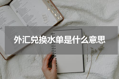 外汇兑换水单是什么意思