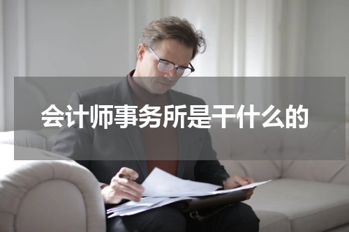 会计师事务所是干什么的