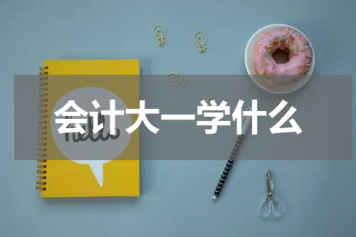 会计大一学什么