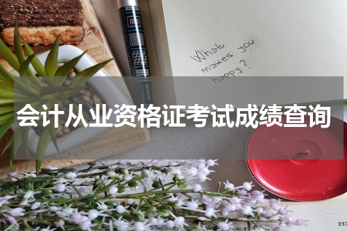 会计从业资格证考试成绩查询