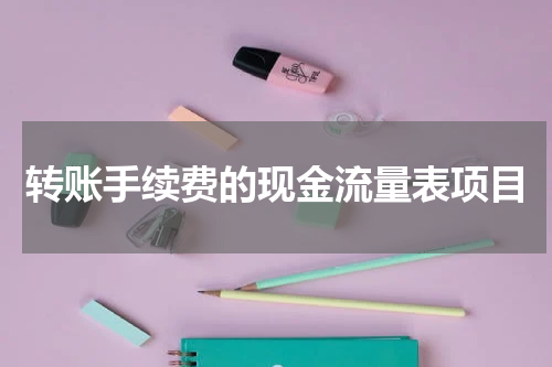 转账手续费的现金流量表项目