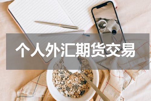 个人外汇期货交易