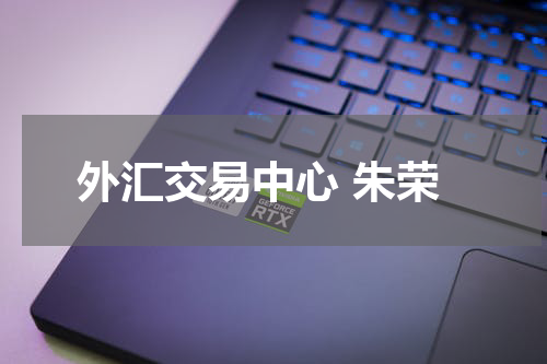 外汇交易中心 朱荣