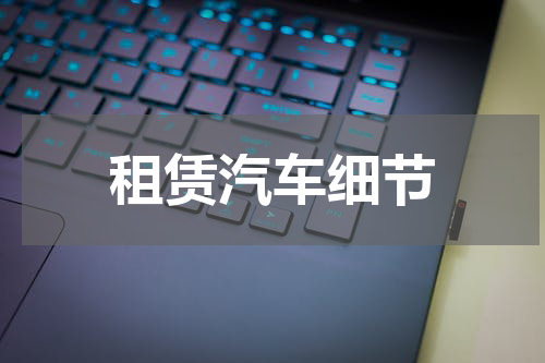 租赁汽车细节