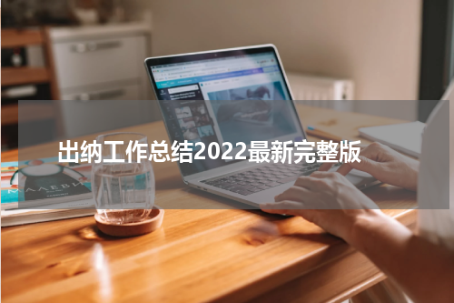 出纳工作总结2022最新完整版