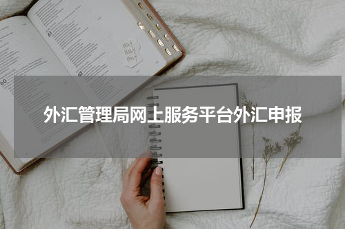 外汇管理局网上服务平台外汇申报