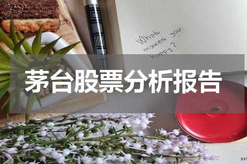 茅台股票分析报告