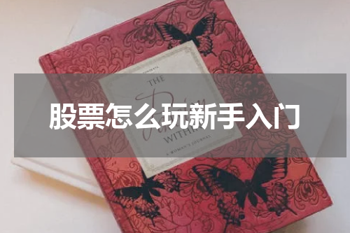 股票怎么玩新手入门