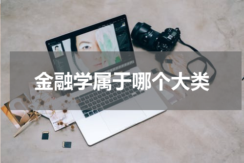 金融学属于哪个大类