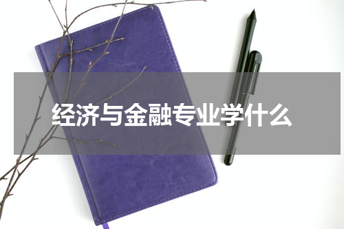 经济与金融专业学什么