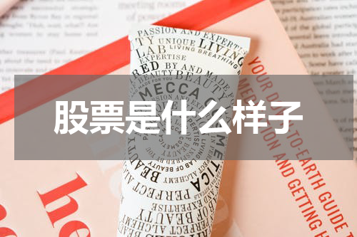 股票是什么样子