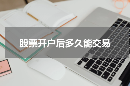 股票开户后多久能交易