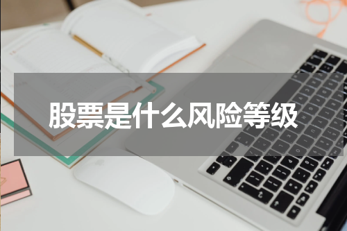 股票是什么风险等级