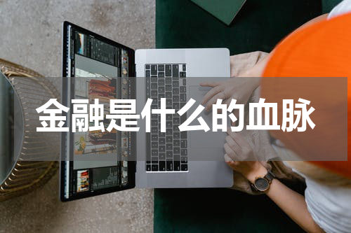 金融是什么的血脉