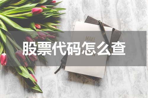 股票代码怎么查