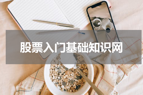 股票入门基础知识网